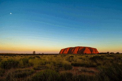New Junior Doctors, Nurses and Midwives for NT Hospitals