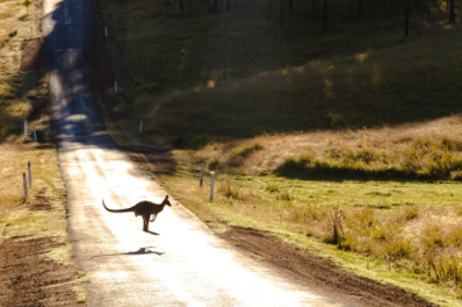 Visa program for skills shortages in regional Australia